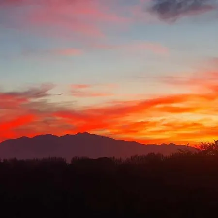 Trois Appartements Au Sein Du Mas Jams - Le Gouleyrous, Le Canigou Et Le Figarassa Vingrau Esterno foto