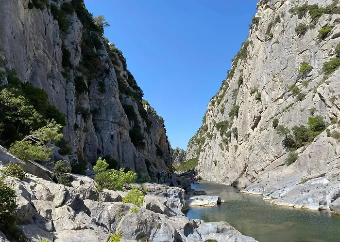 Trois Appartements Au Sein Du Mas Jams - Le Gouleyrous, Le Canigou Et Le Figarassa